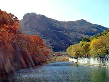 澳门二四六天天彩图库，莱芜采购